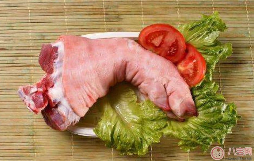 猪蹄|孕妇能不能吃猪蹄 适合孕妇吃的猪蹄做法