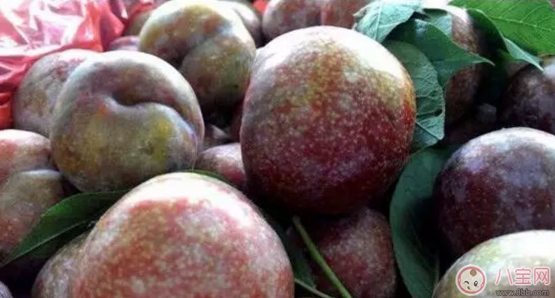 水果|红心李子孕妇可以吃吗 孕妇最多能吃多少个红李子