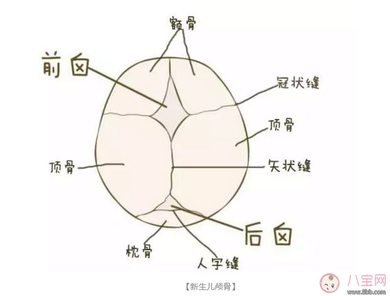 囟门|新生儿的头可以摸吗 为什么婴儿的头不能摸