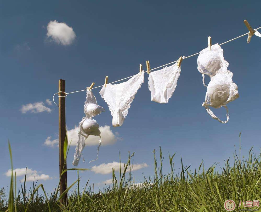 用活用品|女性私处防护 内裤挑选及清洁必看