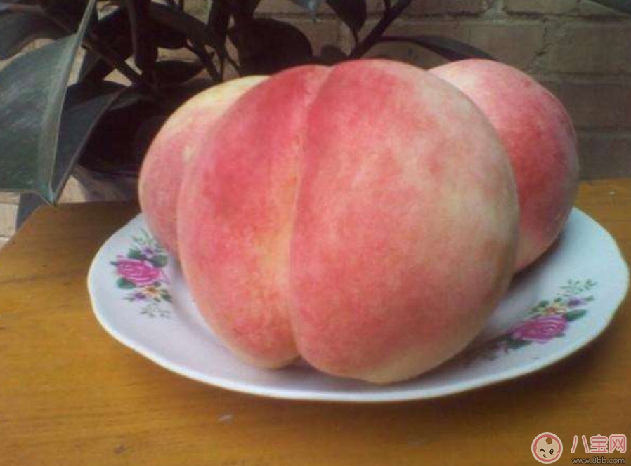 桃子|孕妇可以吃毛桃吗 孕妇吃毛桃有什么功效