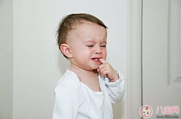 牙齿|宝宝的六龄齿会换掉吗 宝宝乳牙里的六龄牙终生不换