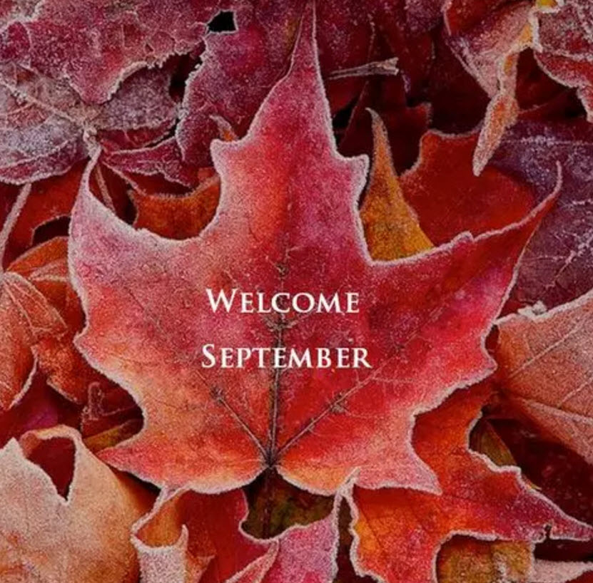 说说|八月再见九月你好说说朋友圈 八月再见九月你好带九月字图片