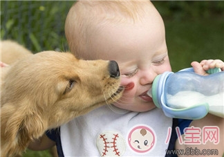 配方奶|牛奶和配方奶 1岁后到底该喝什么