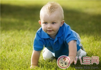爬行期|婴幼儿爬行期发展感知能力