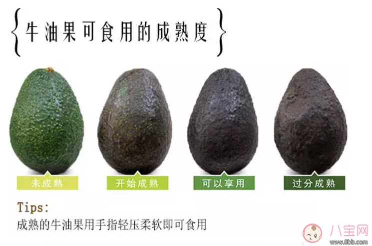 水果|牛油果孕妇怎么吃最好 适合孕妇的牛油果食谱有哪些