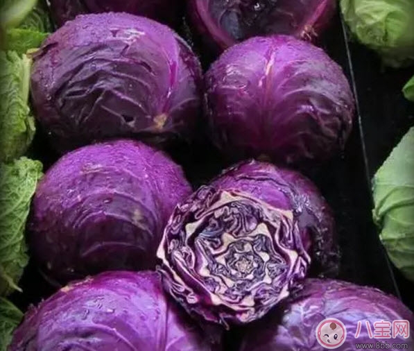 蔬菜|紫包菜孕妇可以生吃凉拌吃吗 适合孕妇吃的紫甘蓝凉拌菜有哪些