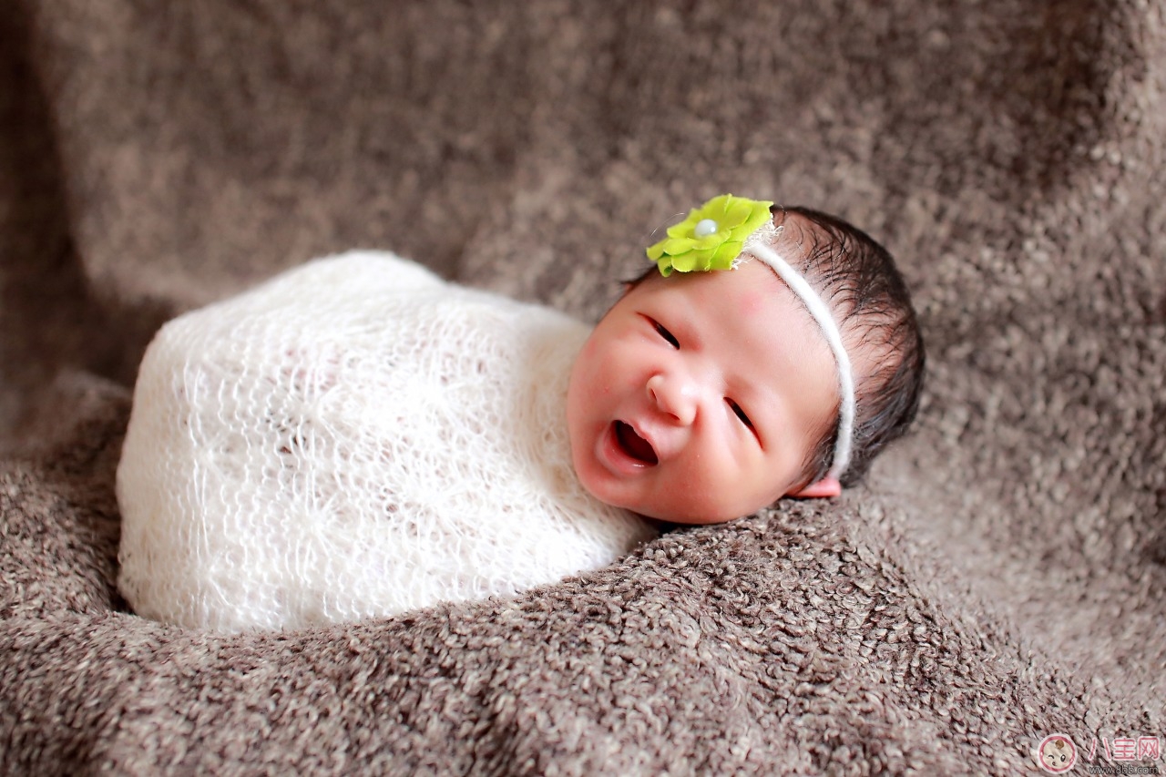 培养|宝宝语言能力如何培养从新生儿开始发展