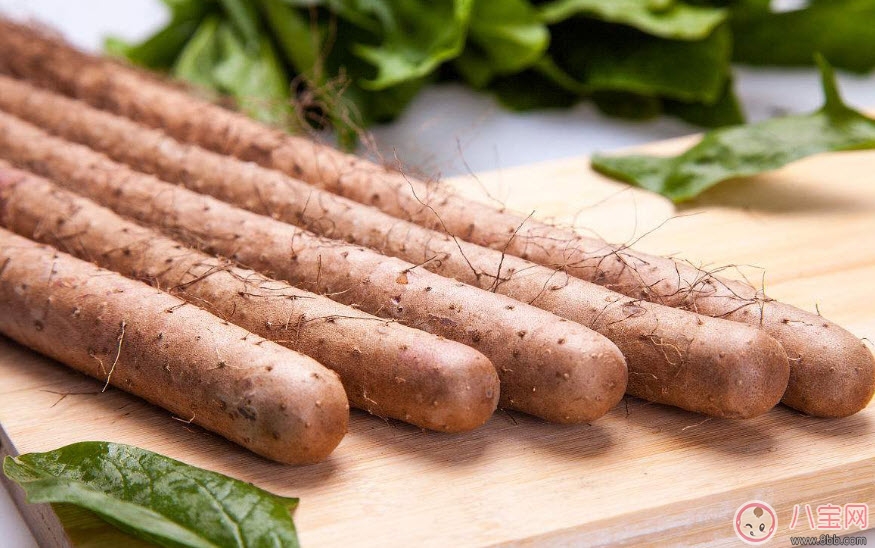食物|孕妇能吃山药吗 孕妇吃山药有哪些好处(孕妇山药食谱)