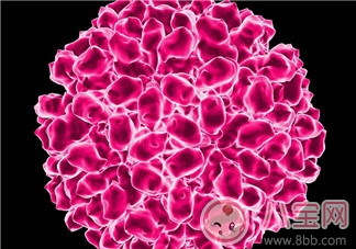 肠病毒|秋季如何预防肠病毒肠病毒的危害知多少