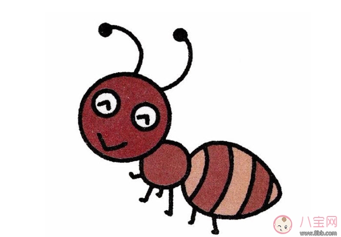 明星|蚂蚁腰身材标准 blackpink rose蚂蚁腰腰围是多少