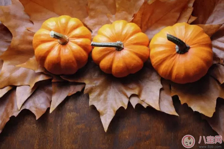 营养|孕妇吃南瓜有什么好处 孕妇吃南瓜对胎儿好吗