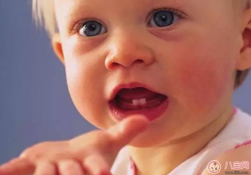 长牙|宝宝不长牙是什么原因 宝宝长牙的征兆有哪些