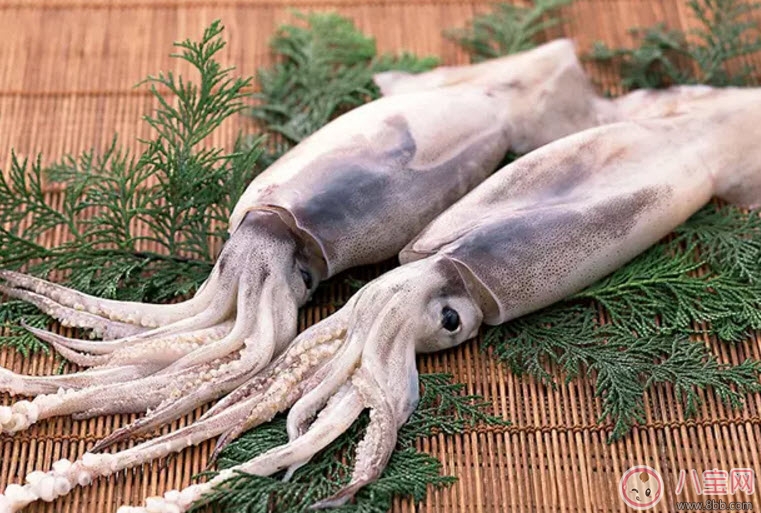 营养|孕妇鱿鱼可以吃吗 孕妇吃鱿鱼有哪些好处