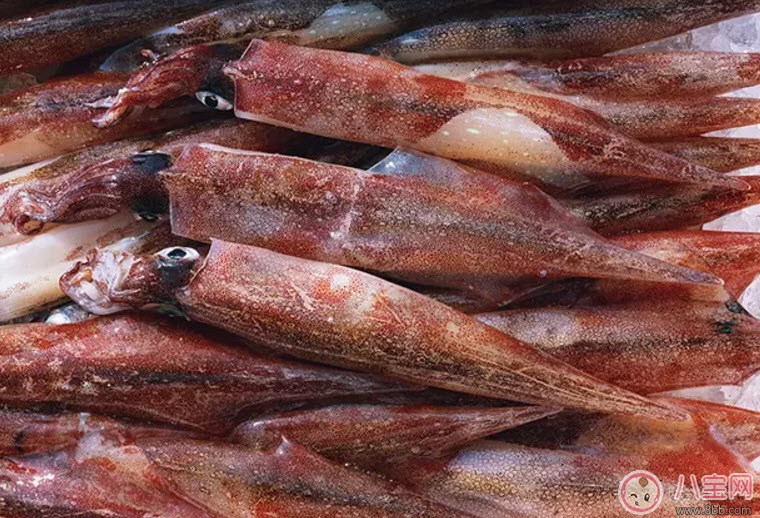 营养|孕妇鱿鱼可以吃吗 孕妇吃鱿鱼有哪些好处