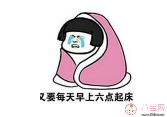 学习|还有23天放寒假是什么意思 为什么还有23天放寒假