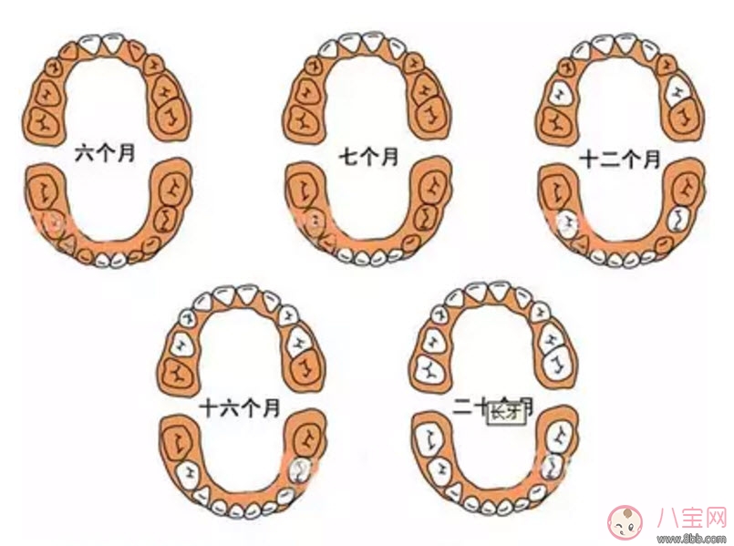 缺钙|宝宝长牙慢是缺钙吗 宝宝长牙与补钙的关系