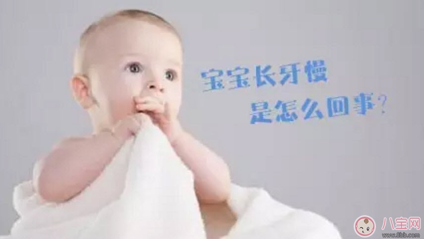 缺钙|宝宝长牙慢是缺钙吗 宝宝长牙与补钙的关系