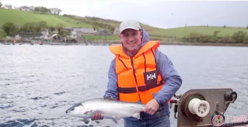 生活用品|范玮琪的宝宝也在吃 小皮辅食宝宝口粮必囤