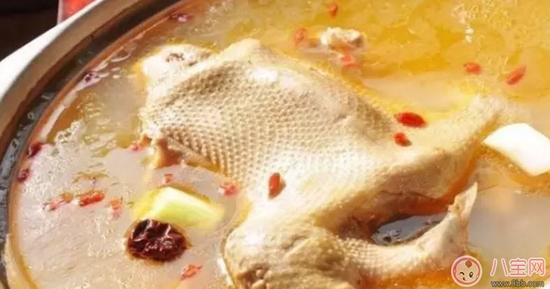 秋天|为什么秋季养生要吃鸭 秋天养生吃鸭有什么好处