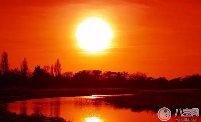 食物|孩子手脚冰凉是怎么回事 手脚冰凉吃什么食物好