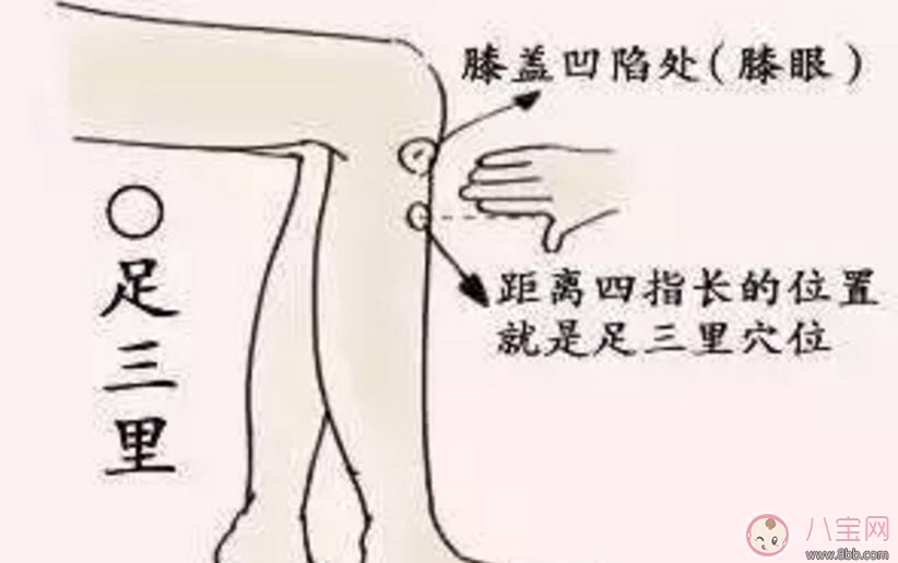 养生|宝宝脾胃虚弱怎么调理 儿童脾胃不好怎么调理