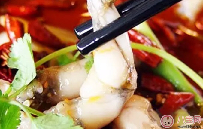 食物|孕妇可以吃田鸡吗 孕妇能吃青蛙吗