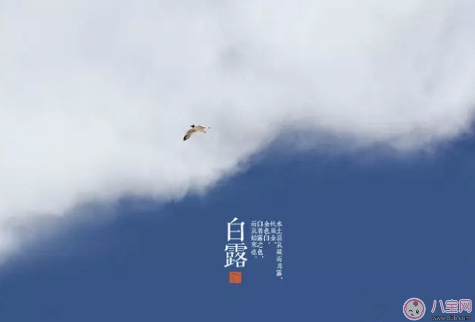 食物|白露节气怎么养生 白露时节有哪些饮食的禁忌