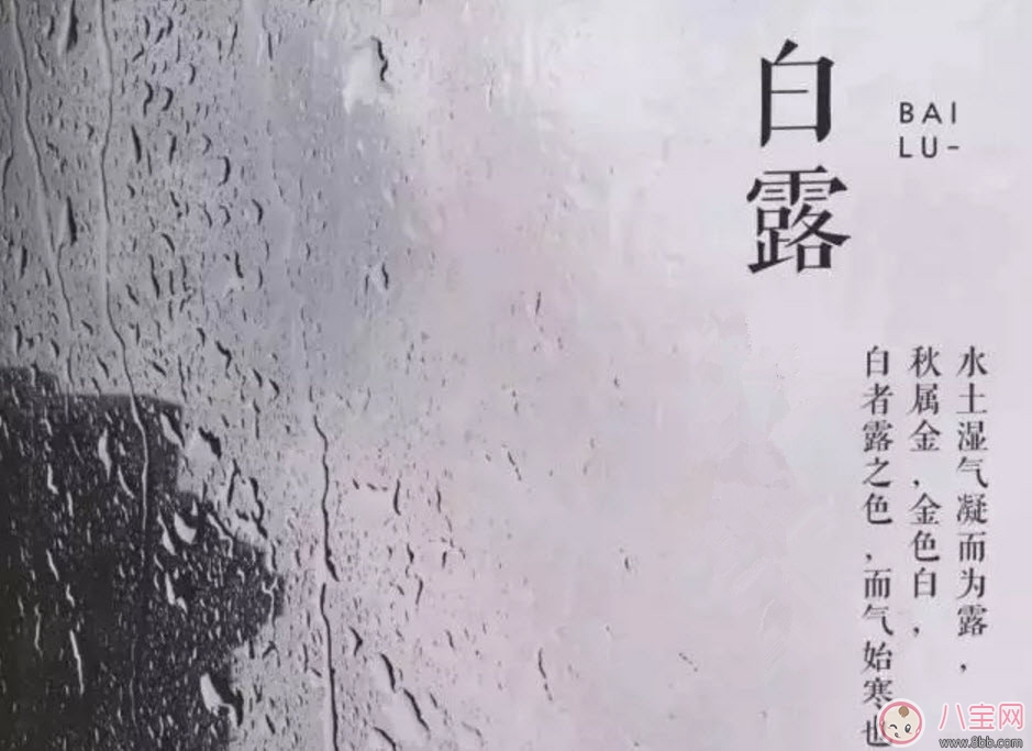 食物|白露节气怎么养生 白露时节有哪些饮食的禁忌