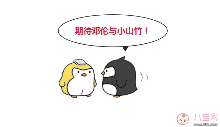 萌娃|小山竹入选有黑幕吗 小山竹家庭条件( 邓伦带的小山竹是怎么火的)