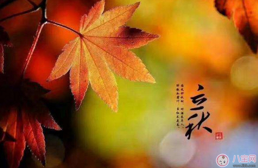 婴儿|婴儿立秋后注意哪些措施 婴儿立秋后的注意事项有哪些