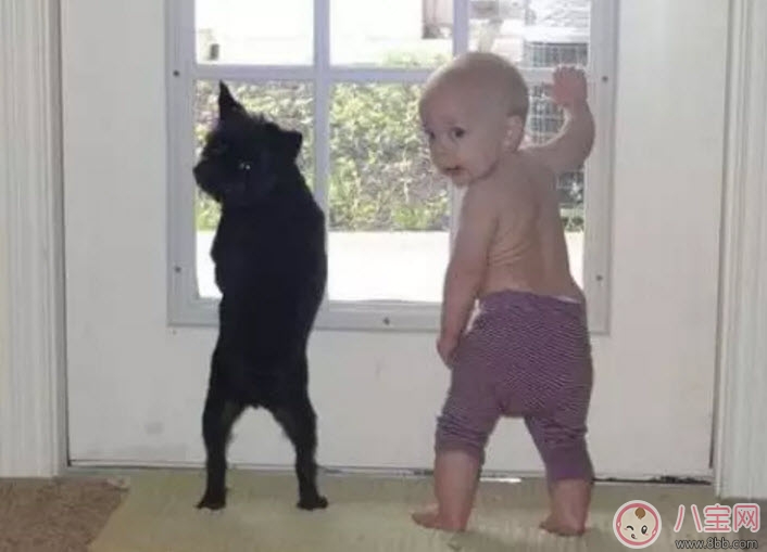 孩子|流浪狗咬伤小区业主孩子 孩子被狗咬伤怎么紧急处理伤口