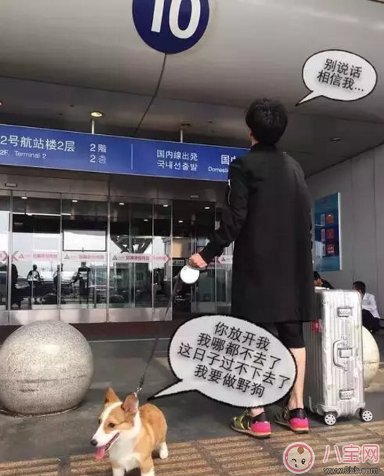 明星|人生巅峰的薛之谦为什么把所有的一往情深都给了同一个人？