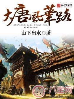 书籍|大唐风华路TXT全文免费阅读 大唐风华路微盘下载