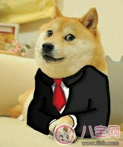 雨衣|祖国花朵专用雨衣 给宝宝选什么雨衣好