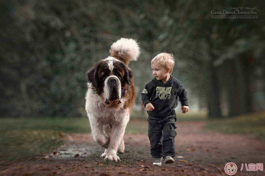 宠物|家中养宠物怎么和孩子和谐相处 宠物与宝宝相处法则