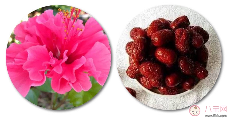 新生儿|新生儿黄疸洗什么中药好 新生儿黄疸推拿方法