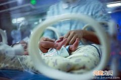 早产宝宝营养需求标准