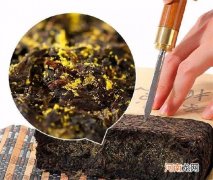 黑茶功效保健养生