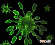 流感病毒感染人类来龙去脉