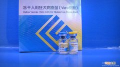 新狂犬病疫苗不用打五针了