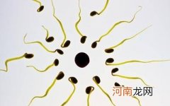 如何确定是否有怀孕 怀孕10天的征兆是怎样的