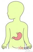 保护宝宝躺着的小口袋--胃