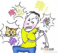 “过敏元凶”在哪里