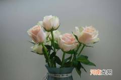 醒花可以用塑料桶吗