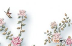 2022年虎年女孩名字带草字头的名字 寓意勇敢坚强的女宝宝起名