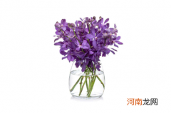 醒花的时候花头沾水了怎么办