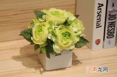 醒花只醒一个小时行吗