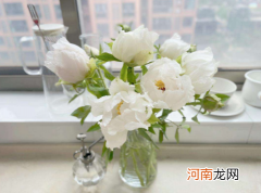 醒花能用桶装水吗