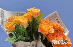 醒花的水可以直接当做插花水吗